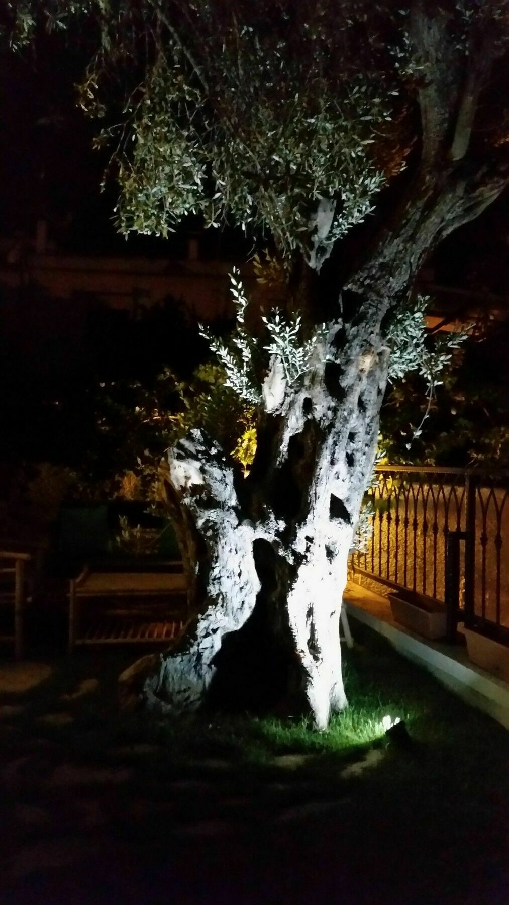 Cassiopeia Hotel Alaçatı Exteriér fotografie