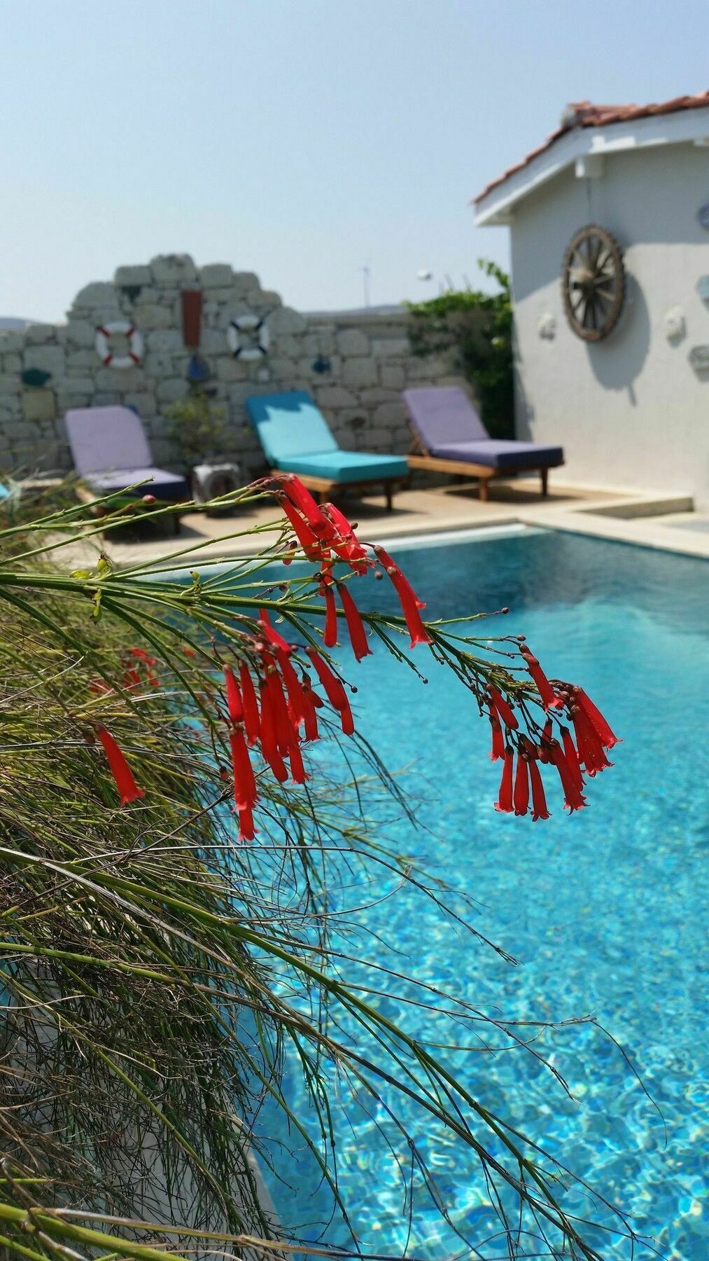 Cassiopeia Hotel Alaçatı Exteriér fotografie